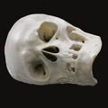 English, 17th/ early 18th century, memento mori skull. photo Sotheby's