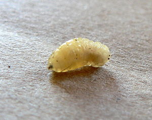 P1120282