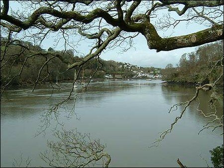 river_465x349