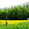 IMGP9777