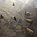 IMG_8872 (2)
