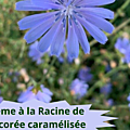 36 CHICOREE(2)Crème à la racine de chicorée caramélisée