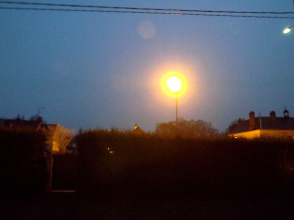 DSCF7449