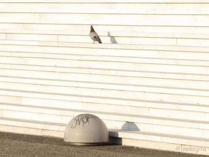 IMG_7706c