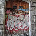 IMG_7519