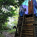 cabane à la saulce nddl