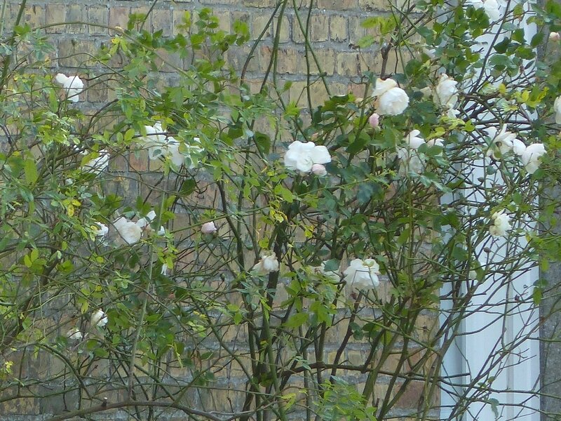 P1070882