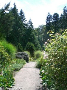 6554_Jardin_des_iris