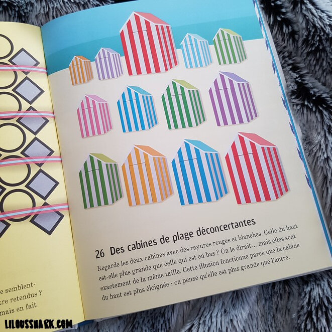 101 illusions doptique usborne lilousshark