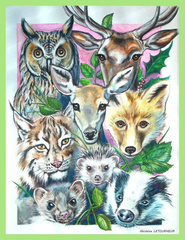 Animaux de la forêt - carnet indices forêt couv