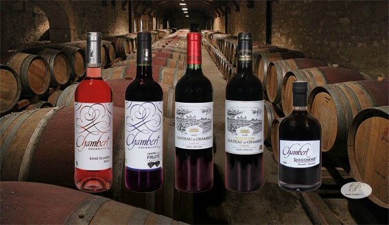 CHATEAU_CHAMBERT_bouteilles_dans_le_chai