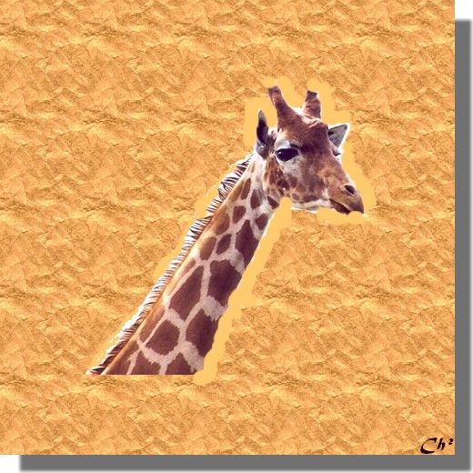 Peigner La Girafe Chris En Themes