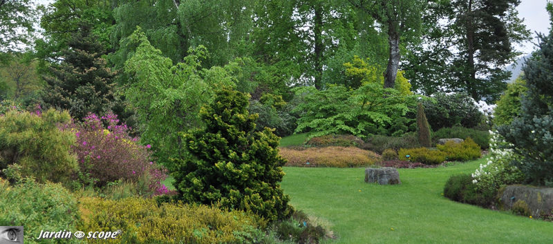 Jardins_de_callunes_0144