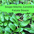 17 DOUCETTE(2)Soupe Mâche, Carotte et Patate Douce