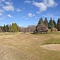DSC05225