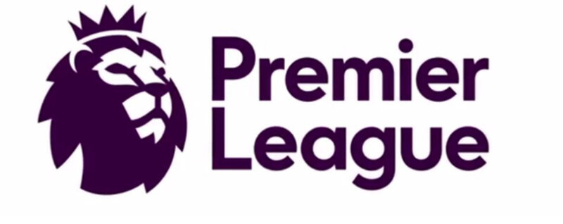 le-logo-2016-2017-de-la-Premier-League