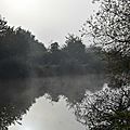 Le tour des étangs du rheu (ille-et-vilaine) le 1er novembre 2016 (5)