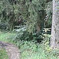 Promenades balisées : les balises manquantes…