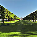 DSC_6150 - Copie