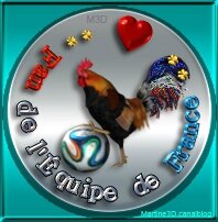 018-logo-mondial-football-2014-fan-equipe-France-coq-ballon