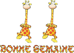 Bonne semaine 2 girafes