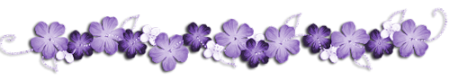 fleurs-violettes