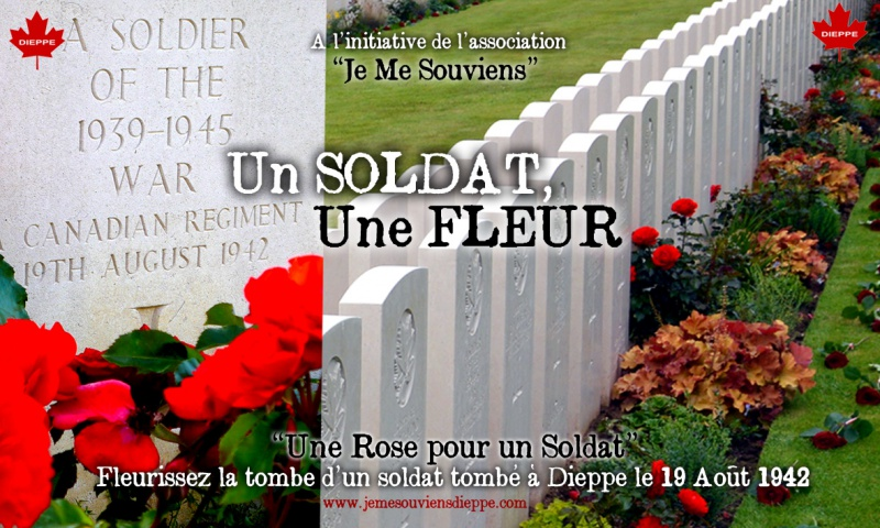 image un soldat une fleur