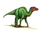 Prosaurolophus_Robert_F