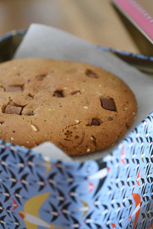 Maxi cookie healthy_2