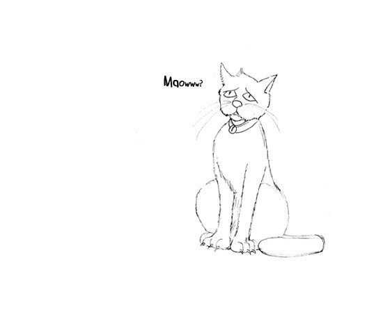 Chat_8