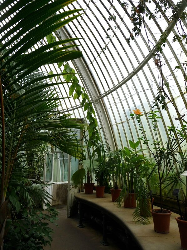 Palm House à Kew
