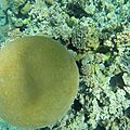 GOPR0306
