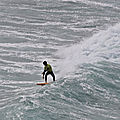 IMG_8811