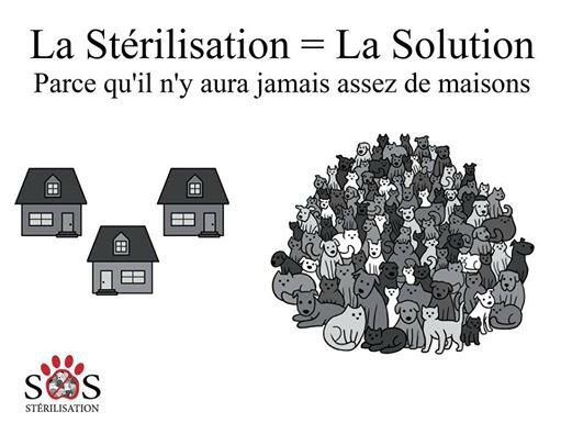 La Sterilisation C Est Trop Cher Association Les Chabadas 40