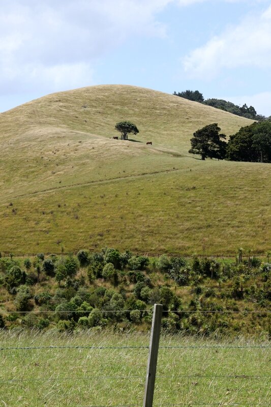 4W7A7210 Waiheke Island