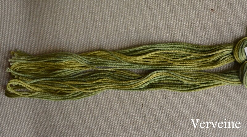 verveine