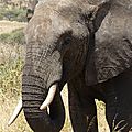 P1150361