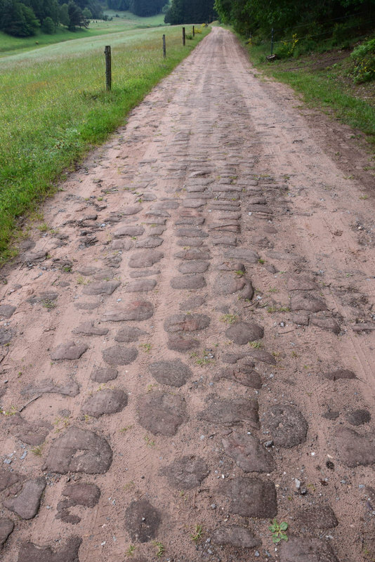 le-chemin-laisse-apparaitre-des-traces-de-l-ancienne-voie-romaine-du-sel-et-reliant-metz-au-rhin-1527078878