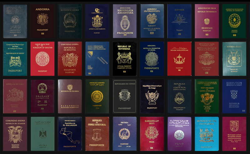couleur-passeport-AviaSim-6