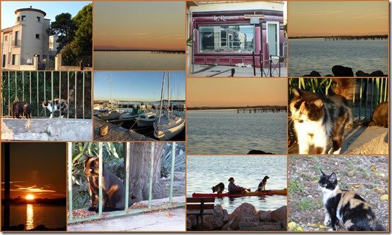 vacances octobre 201614