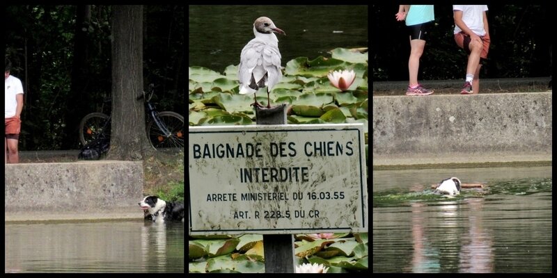 allez, une petite derniere avant la route.