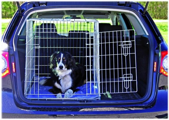 voiture (6)