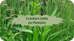 12 PLANTAIN(7)Crackers Salés au Plantain-modified