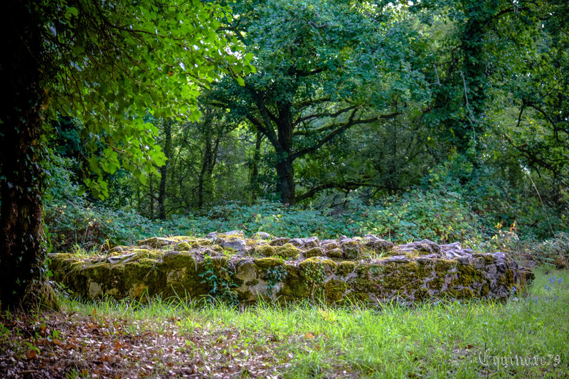 Les Moulins du mont des alouettes, un des symboles de la Guerre de Vendée
