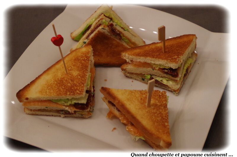 sandwich de saumon fumé-8324