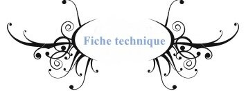 Fiche Technique