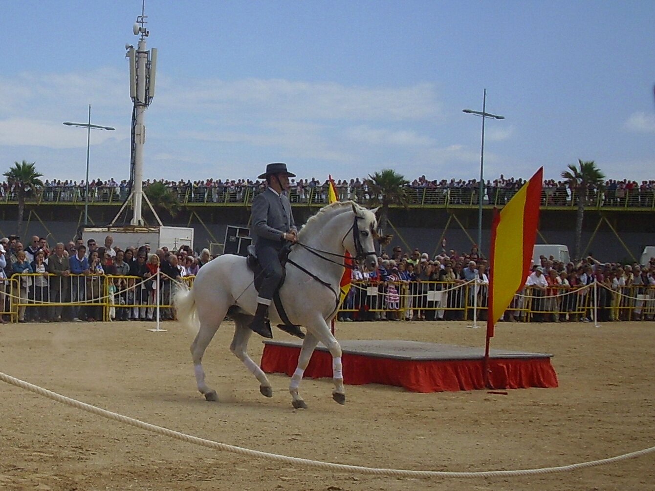 Corral de dressage de chevaux en jouet