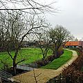 IMGP4437