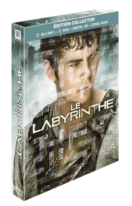 Le Labyrinthe BR edition limitee