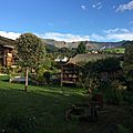 IMG_0654